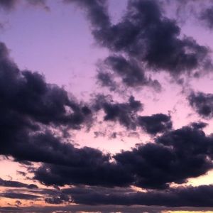 Meet your Posher, Savannah